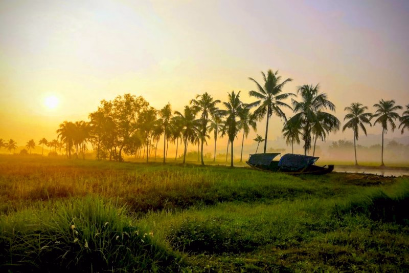 Full day Cruise with Village Life and Local Food